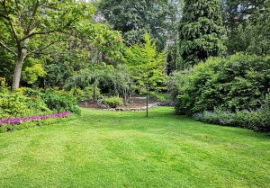 Optimiser l'expérience du jardin à Roy-Boissy